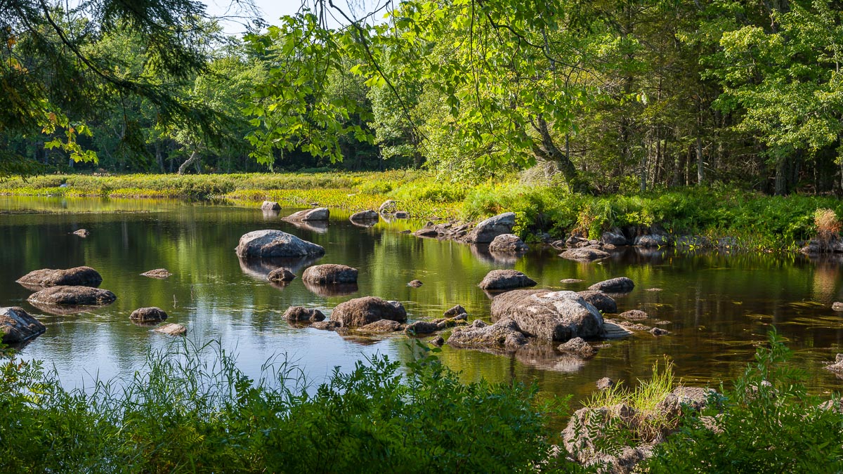 Stacks Image 15