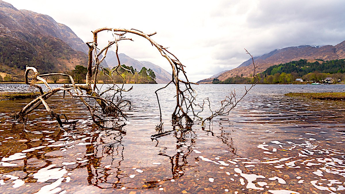 Stacks Image 12
