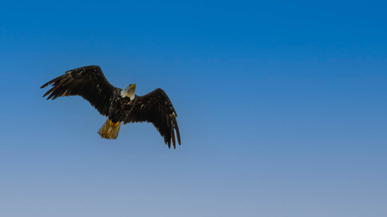 20250907_122810_BAE1266-edit