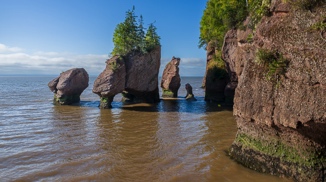 Stacks Image 1485