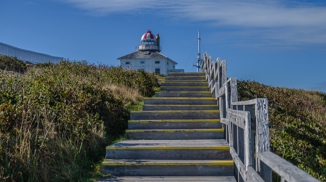 Stacks Image 1518