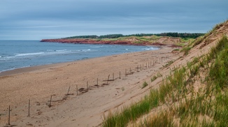 Stacks Image 1494