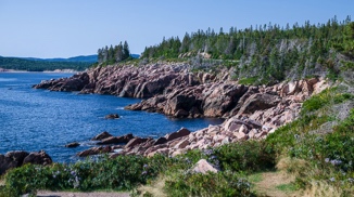 Stacks Image 1524