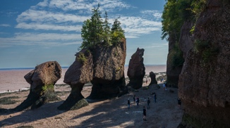 Stacks Image 1482